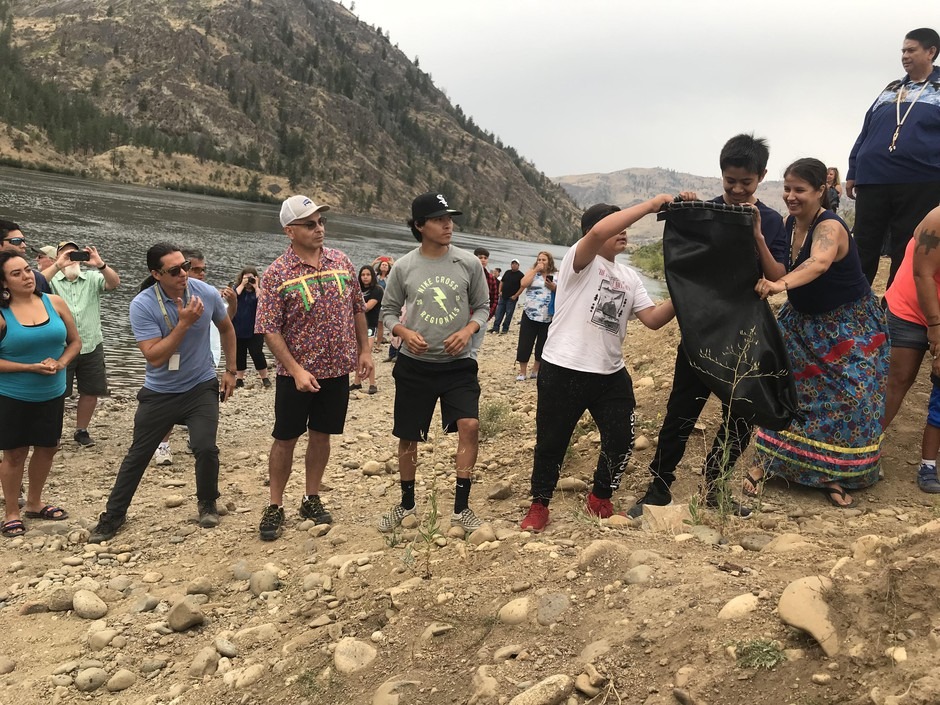 A chain of people pass bags filled with salmon from a truck to the Columbia River at Chief Joseph Dam on Friday, Aug. 9, 2019. CREDIT: COURTNEY FLATT/NWPB