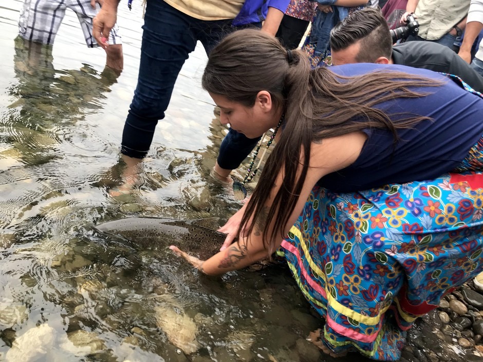 Colville Tribal member Crystal Conant releases the final salmon into the upper Columbia River on Friday, Aug. 9, 2019. Conant said salmon’s reintroduction to the upper Columbia will help heal the tribe and the ecosystem. CREDIT: COURTNEY FLATT/NWPB