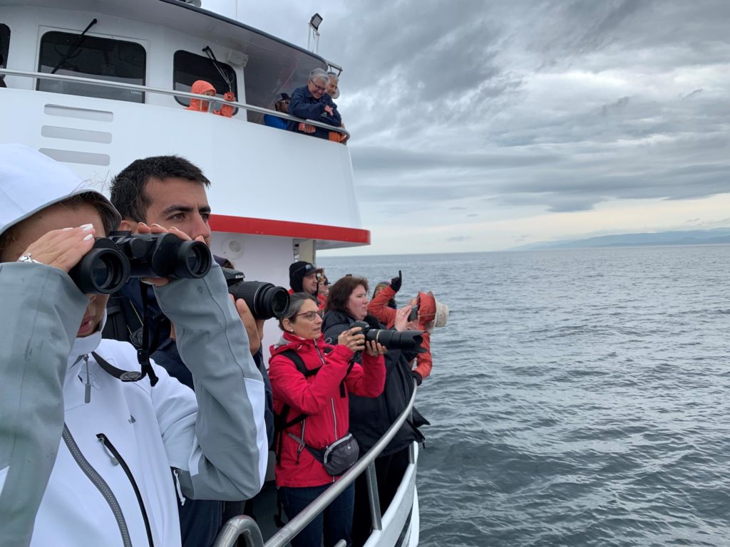 Whale watch tour guests crowd the rail of the Island Explorer 4 to witness the so-called humpback comeback. CREDIT: TOM BANSE/N3