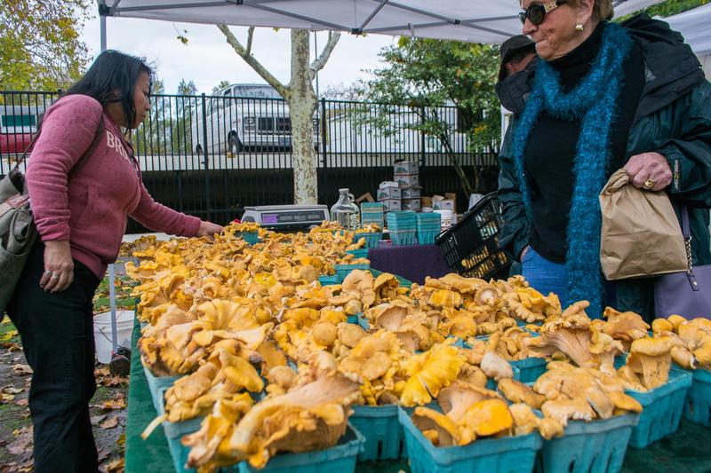 Pacific golden chanterelles at the Eugene Saturday Market in the fall of 2013. VISITOR7 VIA WIKIMEDIA COMMONS / HTTPS://TINYURL.COM/Y63DHJAL