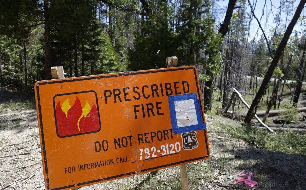 a sign for a prescribed burn in the Giant Sequoia National Monument, Calif., remains posted two years after the fire. The prescribed burn, a low-intensity, closely managed fire, was intended to clear out undergrowth and protect the heart of Kings Canyon National Park from a future threatening wildfire. The tactic is considered one of the best ways to prevent the kind of catastrophic destruction that has become common, but its use falls woefully short of goals in the West. CREDIT: BRIAN MELLEY/AP