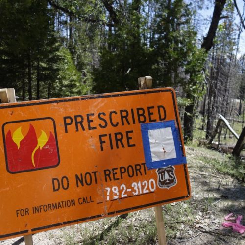 a sign for a prescribed burn in the Giant Sequoia National Monument, Calif., remains posted two years after the fire. The prescribed burn, a low-intensity, closely managed fire, was intended to clear out undergrowth and protect the heart of Kings Canyon National Park from a future threatening wildfire. The tactic is considered one of the best ways to prevent the kind of catastrophic destruction that has become common, but its use falls woefully short of goals in the West. CREDIT: BRIAN MELLEY/AP