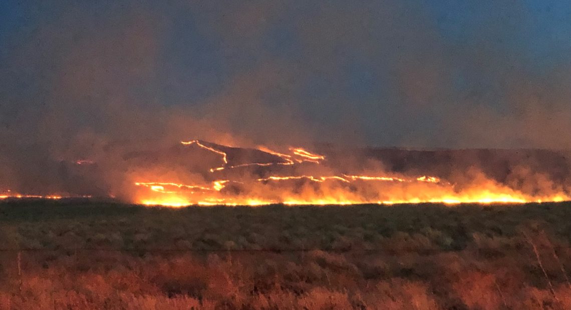 The Cold Creek Fire burned nearly 42,000 acres of sagebrush and grass land near Hanford in July -- including on Rattlesnake Mountain.