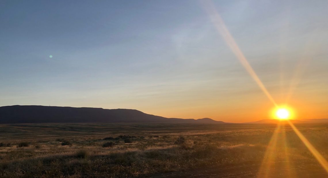 Rattlesnake Mountain on the Hanford Reach National Monument has restricted and protected access. It's considered a sacred site by Northwest tribes, including the Yakama Nation and Confederated Tribes of the Umatilla. CREDIT ANNA KING/NW NEWS NETWORK