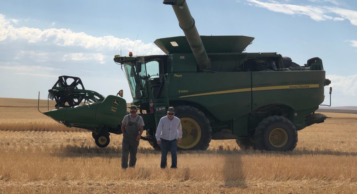 Roger Hsieh and Daniel Berg walk toward a pickup truck in the Horse Heave Hills of south central Washington during wheat harvest this year. CREDIT: NICOLE BERG
