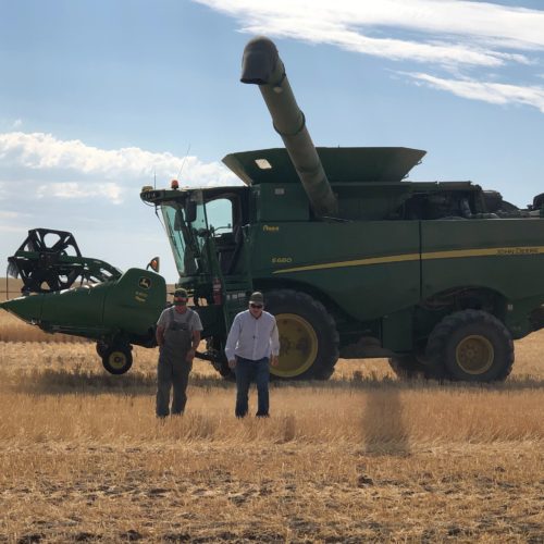 Roger Hsieh and Daniel Berg walk toward a pickup truck in the Horse Heave Hills of south central Washington during wheat harvest this year. CREDIT: NICOLE BERG