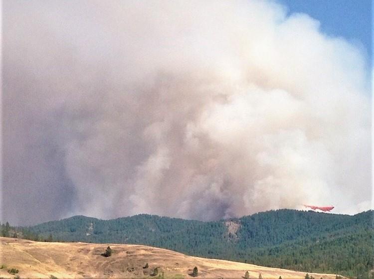 The Williams Flats Fire started from a lightning strike Aug. 2, 2019 near Keller, Washington, on the reservation of the Colville Confederated Tribes. CREDIT: INCIWEB