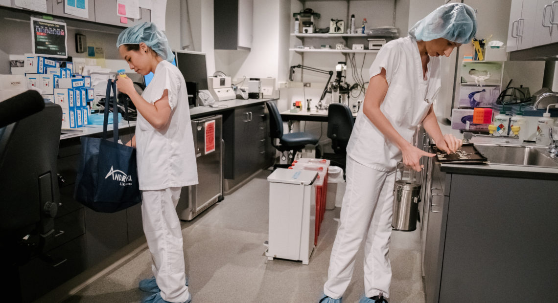 Wang and Alessandra Parrella, a Weill Cornell staff associate, are part of the team trying to use CRISPR to edit DNA in human sperm. They work at the Andrology Lab at the Center for Reproductive Medicine at Weill Cornell Medicine in New York City.