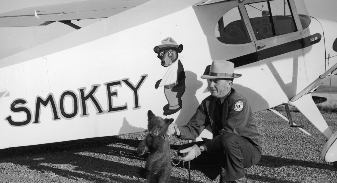 Smokey the bear cub is flown from Santa Fe, N.M., to his new home at the Washington National Zoo by New Mexico's Assistant State Game Warden Homer C. Pickens in 1950. The little bear was rescued from a forest fire and named Smokey after the fire prevention symbol of the U.S. Forest Service, which launched in 1944. FPG/Hulton Archive/Getty Images