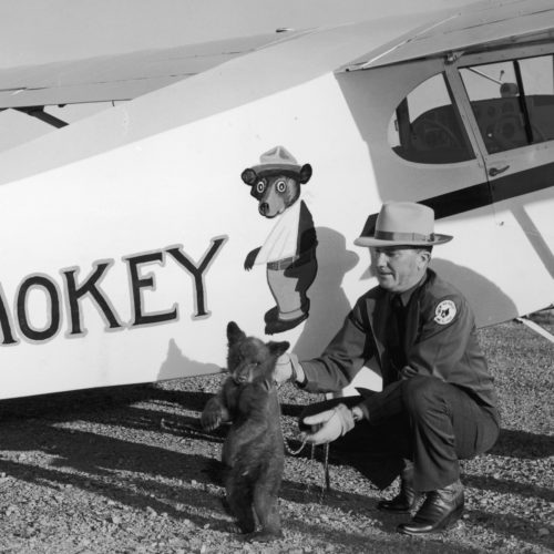 Smokey the bear cub is flown from Santa Fe, N.M., to his new home at the Washington National Zoo by New Mexico's Assistant State Game Warden Homer C. Pickens in 1950. The little bear was rescued from a forest fire and named Smokey after the fire prevention symbol of the U.S. Forest Service, which launched in 1944. FPG/Hulton Archive/Getty Images