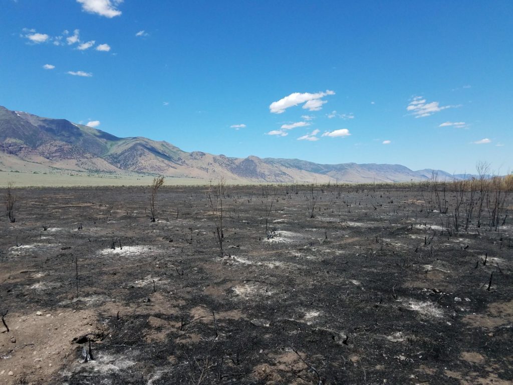 In 2017, the Fields-Andrews rangeland fire protection association helped put out a fire near Steens Mountain in southeastern Oregon. Courtesy of Oregon Department of Forestry