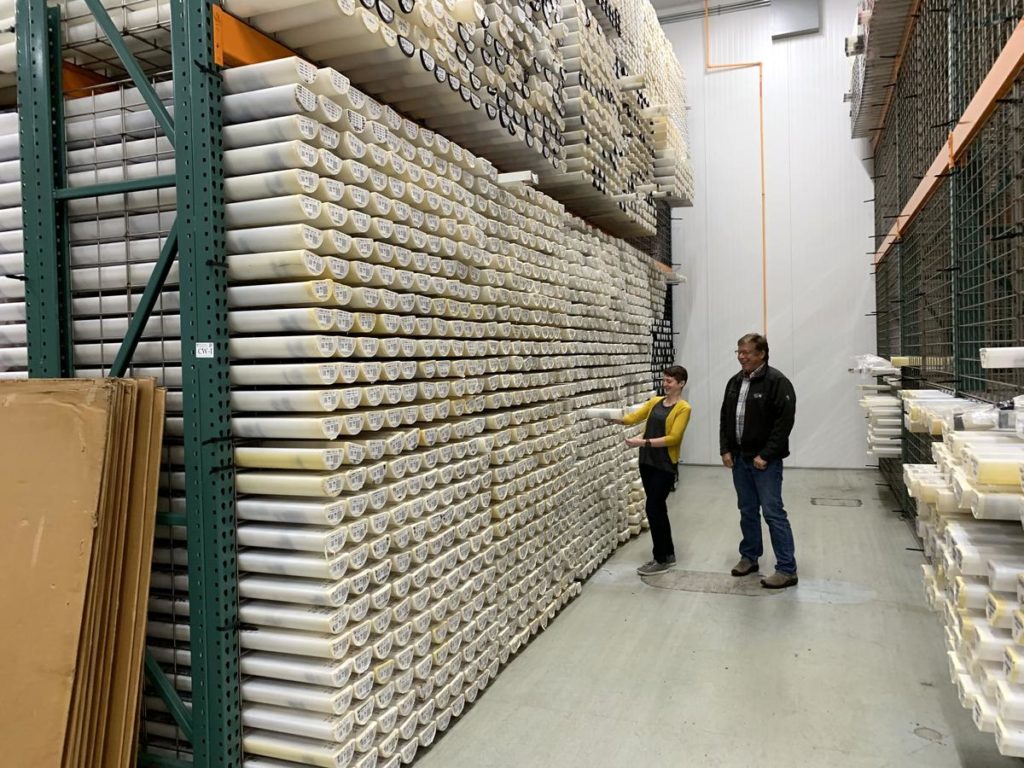 Curator Val Stanley and geologist Chris Goldfinger examine a sediment core in the vast collection of the Marine and Geology Repository at Oregon State University. CREDIT: TOM BANSE/N3