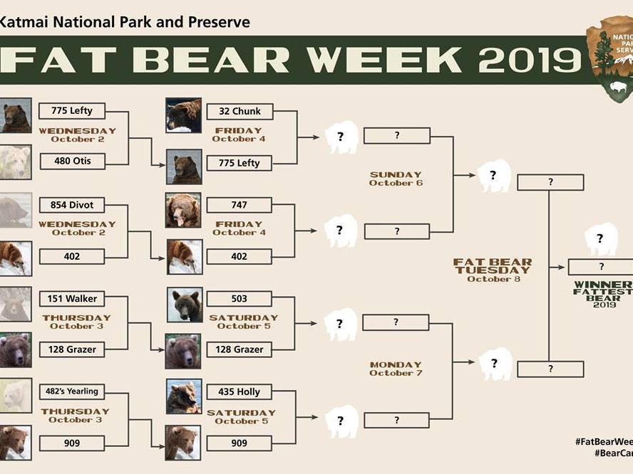 It's an Ursine March Madness —fans get to pick their favorite fat bear. Katmai National Park says Fat Bear Week increases public awareness of bears and the need for conservation. Courtesy of NPS Photos