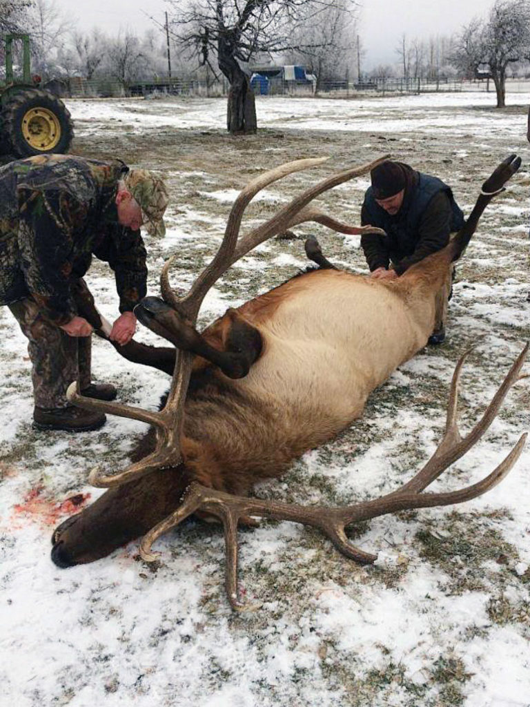 Tod Reichert, left, with Bullwinkle, the celebrity elk that he killed on a trophy hunting tag. Courtesy of Lower Kittitas County District Court