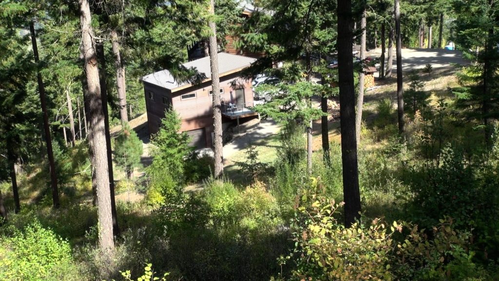 Patty O’Hearn’s house is prepped for when a fire burns through her hillside. It has metal roofs on her cabin and shed, thinned trees, mowed grass and gravel walkways lining her home. CREDIT: Courtney Flatt/NWPB