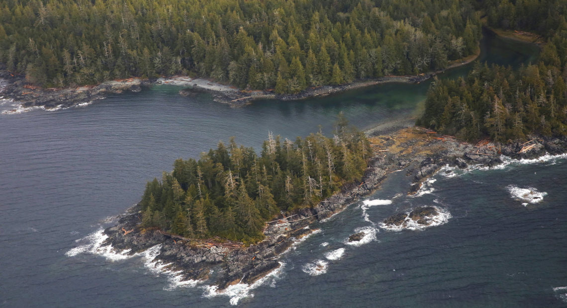 The Tongass National Forest, near Ketchikan, Alaska. The spruce, hemlock and cedar trees of the Tongass have been a source of timber for the logging industry. CREDIT: Elissa Nadworny/NPR