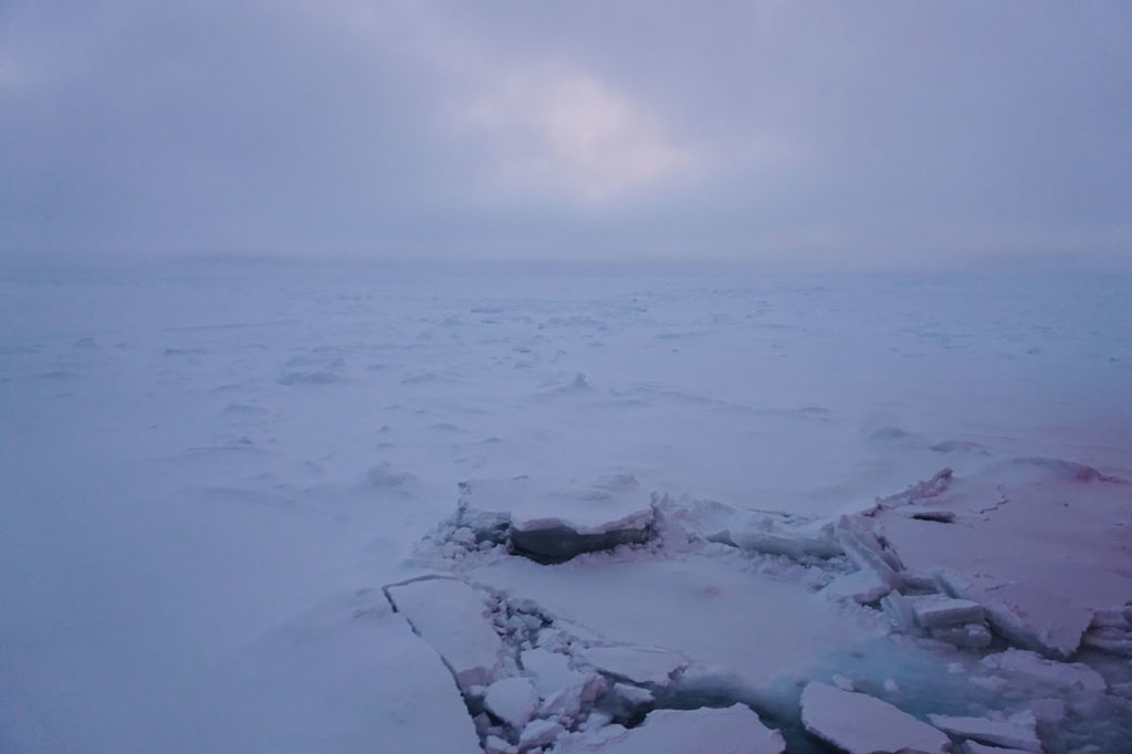 Heavy ice cover on the central Arctic Ocean at dusk on Sept. 28. Ravenna Koenig