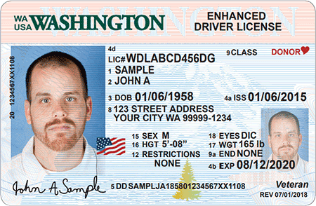 The optional Enhanced Driver License issued by Washington state meets federal Real ID standards. CREDIT: WA DOL