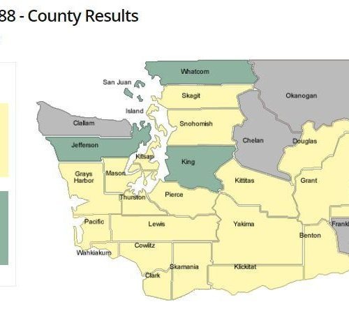 As of Tuesday evening, Washington voters were narrowly voting to overturn a new affirmative action law. CREDIT: Washington Secretary of State