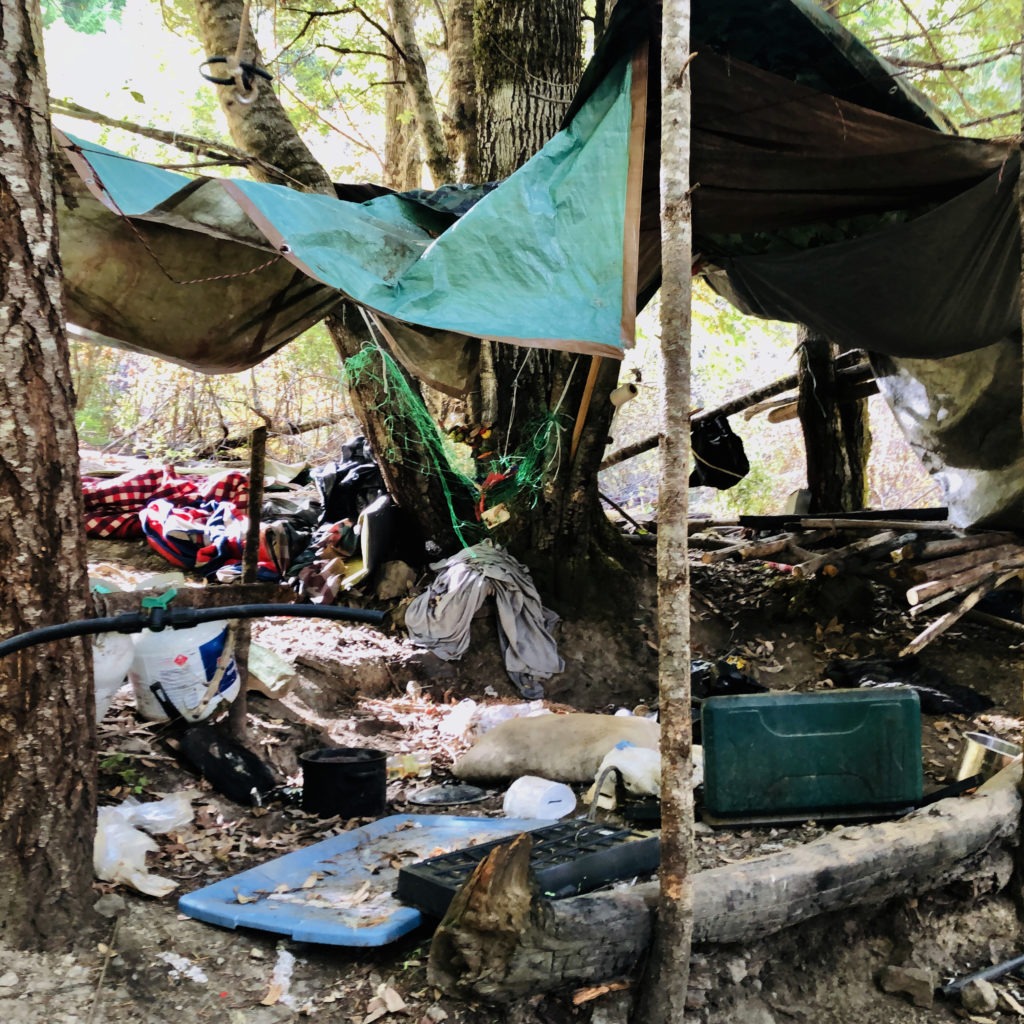 A sprawling grow and camp site was abandoned in California's Shasta-Trinity National Forest. There's some 3,000 pounds of trash here from discarded clothes and propane tanks to 3 miles of plastic irrigation pipes — an indication this site has likely been used for years. Eric Westervelt/NPR
