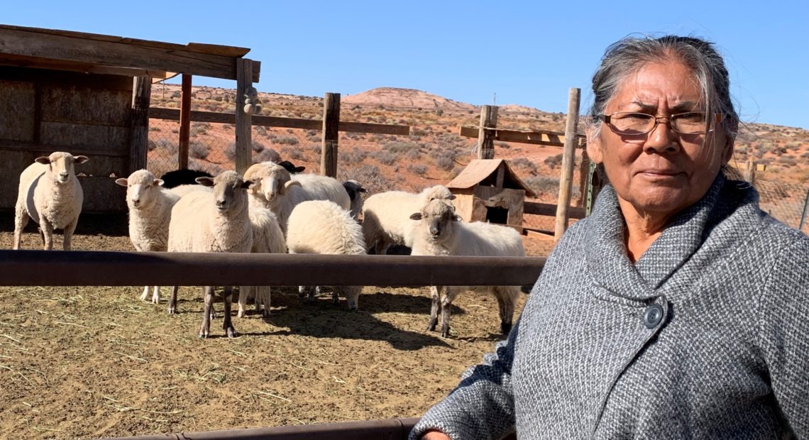 Darlene Yazzie typically hauls water from a windmill 5 miles from her house for her sheep. Officials tell her it's unsafe for humans but OK for livestock. CREDIT: Laurel Morales/KJZZ