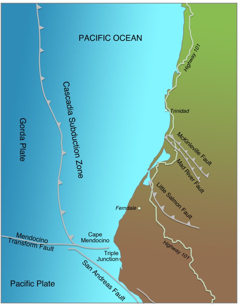 The Cascadia Subduction Zone and northern San Andreas Fault meet at a place called the Mendocino Triple Junction. CREDIT OREGON STATE UNIVERSITY