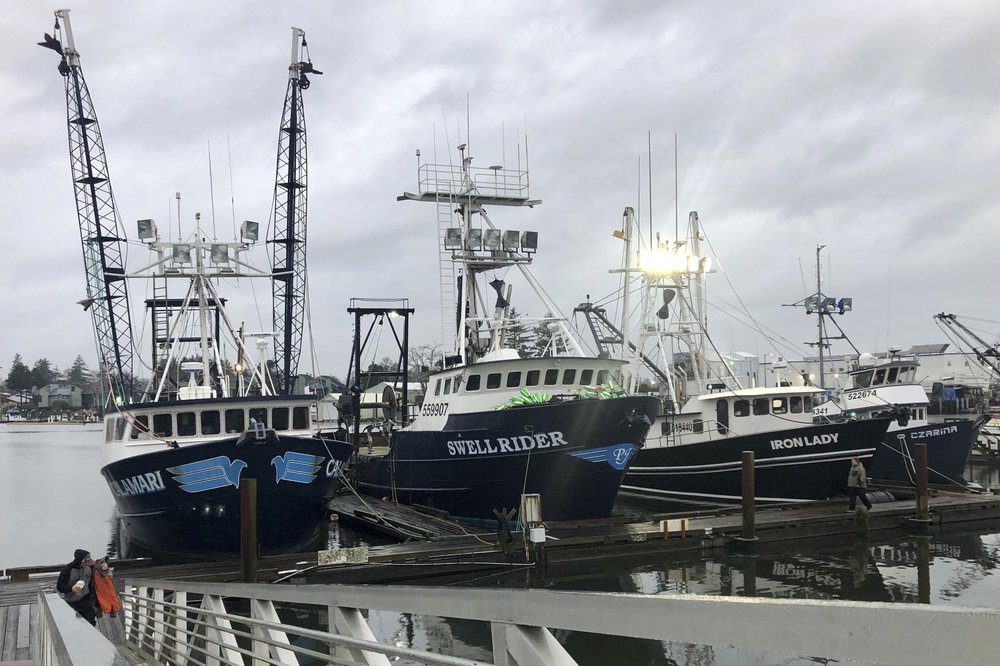 Trawlers that fish for groundfish off the Oregon and Washington coast are shown in the background as a fisherman walks up a ramp from the docks in Warrenton, Oregon.  CREDIT: Gillian Flaccus/AP