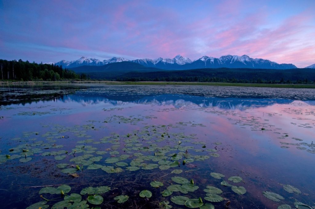 The Purcell Mountains reflect in calm water near Spillimacheen, British Columbia. CREDIT: Peter Pochocki Marbach