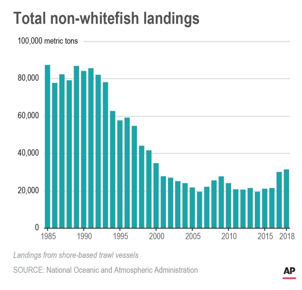 Chart shows total non-whitefish landings from shore-based trawl vessels on the U.S. West Coast from 1985 to 2018. Graphic by AP staff