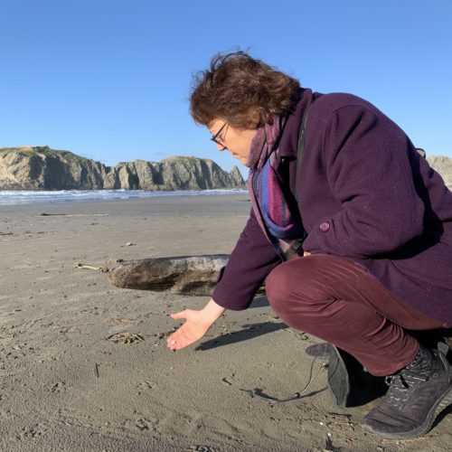 Angela Haseltine Pozzi founded Washed Ashore in 2010. The nonprofit turns plastics taken from Oregon's beaches into eye-opening sculptures of threatened marine life. CREDIT: Kirk Siegler/NPR