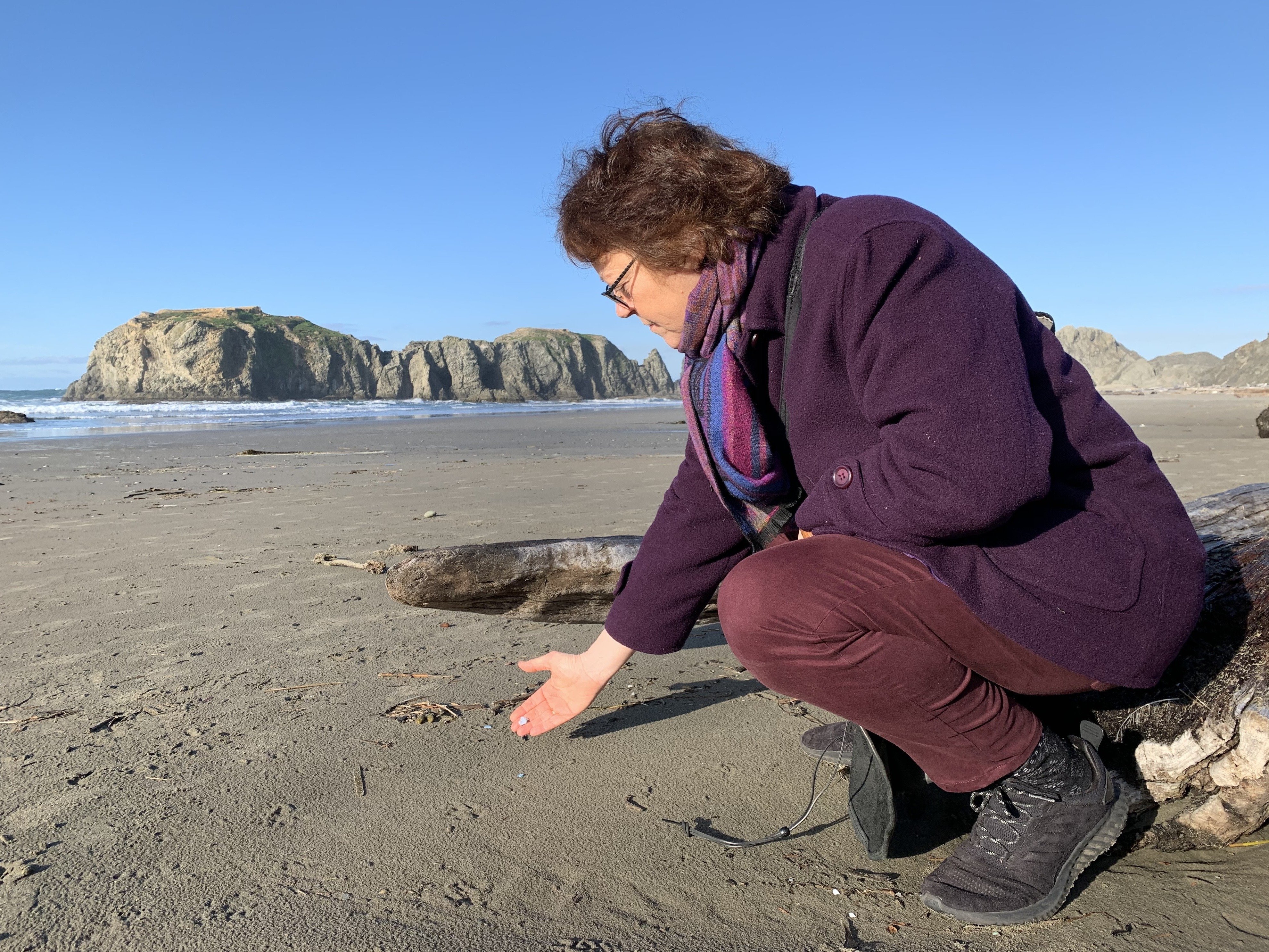 Angela Haseltine Pozzi founded Washed Ashore in 2010. The nonprofit turns plastics taken from Oregon's beaches into eye-opening sculptures of threatened marine life. CREDIT: Kirk Siegler/NPR