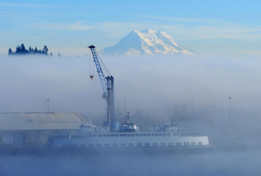 The decommissioned Evergreen State ferry has not moved from the Port of Olympia since arriving there in spring 2018. CREDIT: Tom Banse/N3