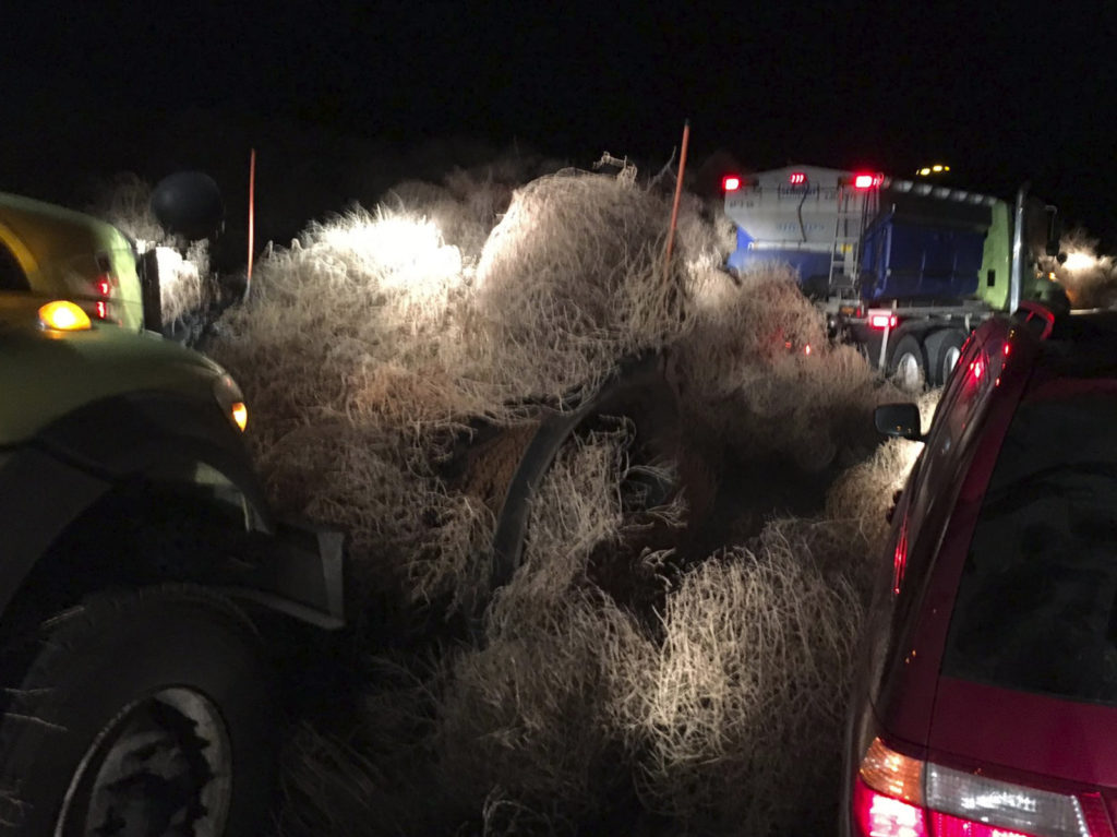 The Washington State Department of Transportation used snow plows Tuesday evening to remove a pile of tumbleweeds along State Route 240 near Richland. CREDIT: WSP/Chris Thorson