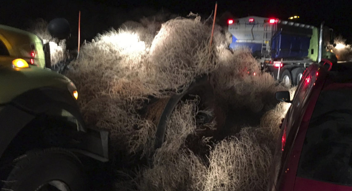 The Washington State Department of Transportation used snow plows Tuesday evening to remove a pile of tumbleweeds along State Route 240 near Richland. CREDIT: WSP/Chris Thorson