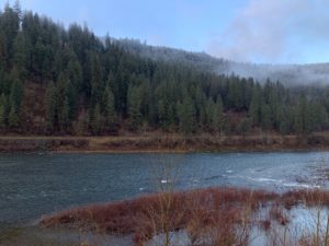 Morning on the Clearwater River near Orofino, Idaho. This past fall, Idaho officials closed the Clearwater to steelhead trout and salmon fishing due to extremely low runs. CREDIT: Kirk Siegler/NPR
