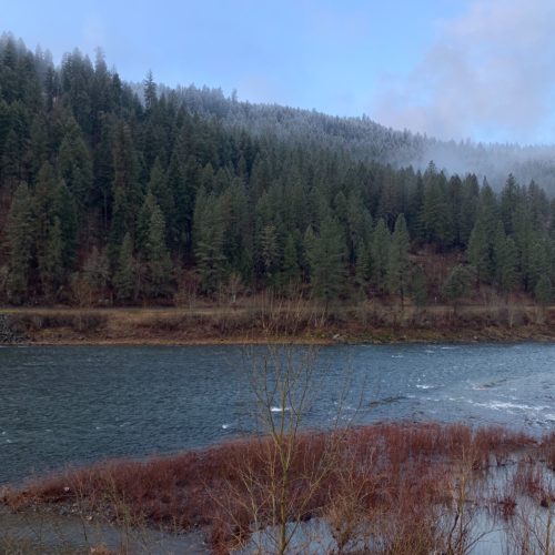 Morning on the Clearwater River near Orofino, Idaho. This past fall, Idaho officials closed the Clearwater to steelhead trout and salmon fishing due to extremely low runs. CREDIT: Kirk Siegler/NPR