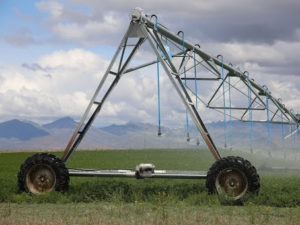 Irrigation pivots spray a field in Harney County, Ore., where scientists warn that the groundwater could take thousands of years to recover from pumping to support agriculture. Emily Cureton/Oregon Public Broadcasting