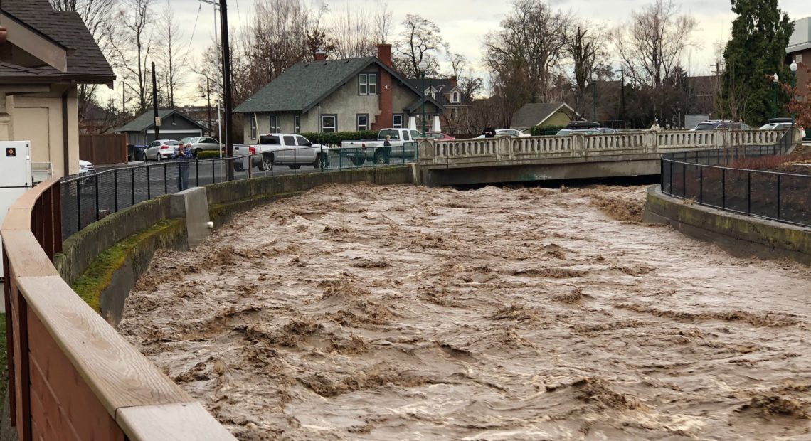 Mill Creek at Whitman College in Walla Walla was running high and brown with quick melt and agricultural runoff Friday, Feb. 2, 2020. CREDIT: Thomas Reese