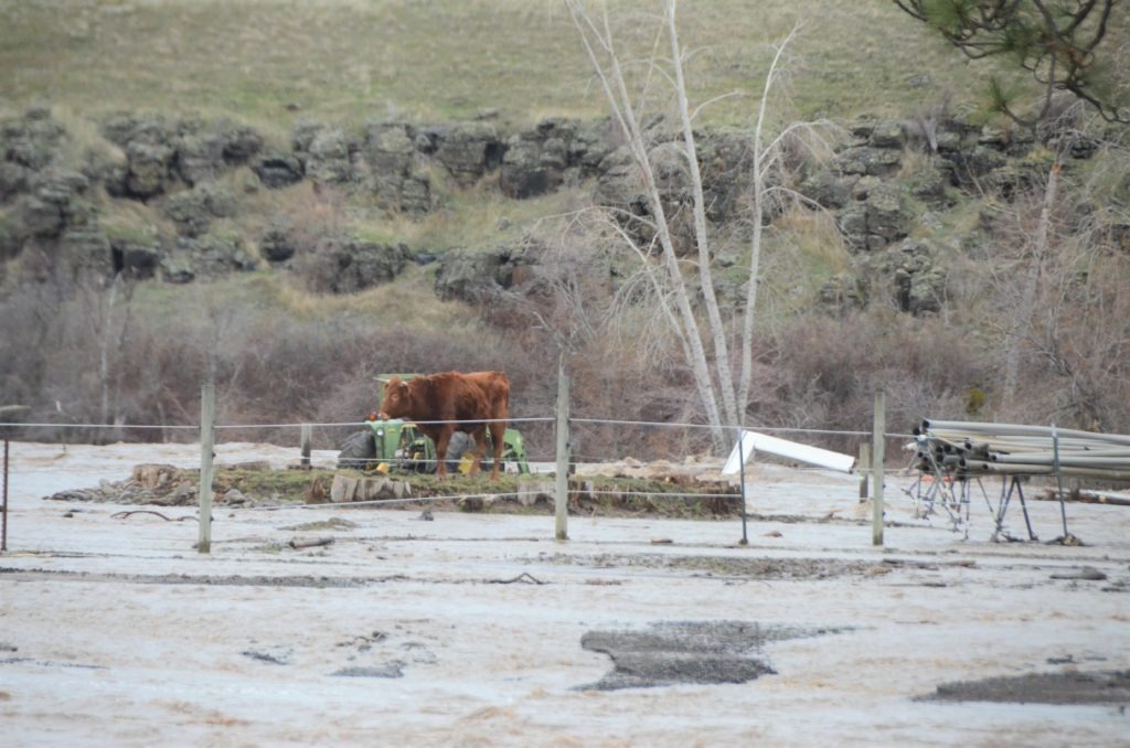 Emergency responders in northeastern Oregon responded Thursday and Friday, Feb. 6 and 7, to flooding around Umatilla, Oregon, and the reservation of the Confederated Tribes of the Umatilla. CREDIT: Megan Van Pelt / Confederated Umatilla Journal