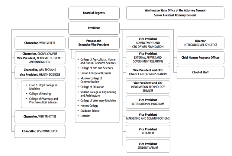 The Washington State University organizational chart. 