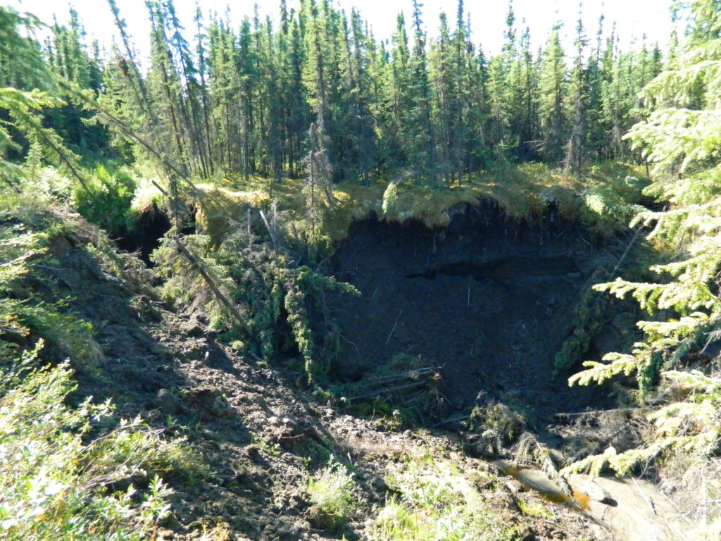 Jeff Pederson noticed a sink hole forming just north of Fairbanks, Alaska. CREDIT: Jeff Pederson