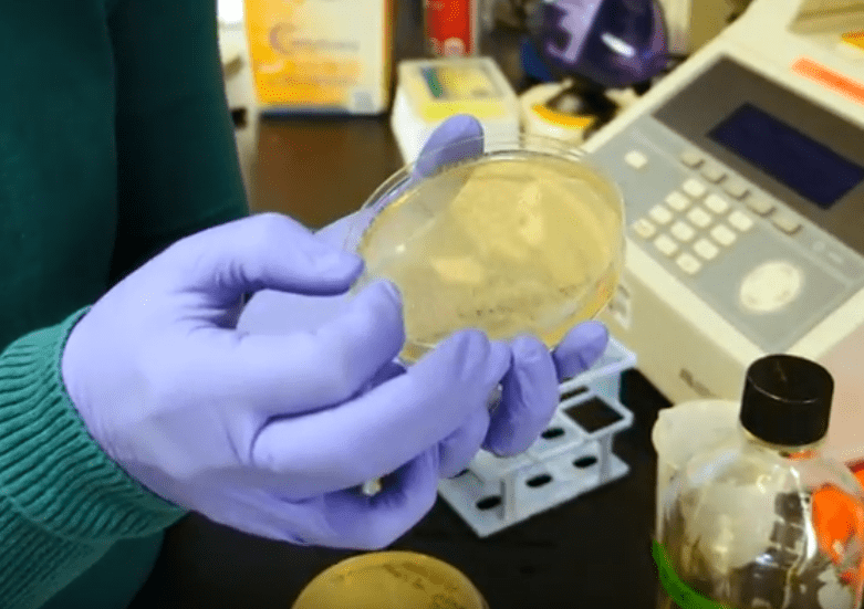 Testing capacity for novel coronavirus in Washington increased significantly on Tuesday once a University of Washington virology lab began accepting samples. UW MEDICINE