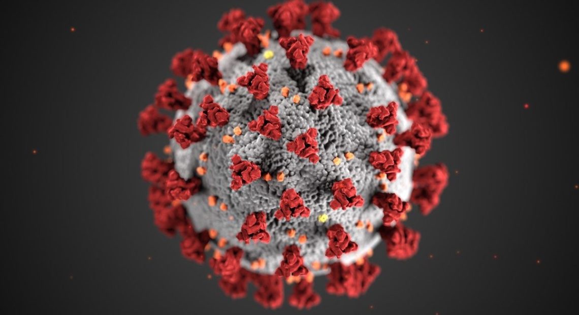 An illustration of the SARS-CoV-2 virus, the novel coronavirus that causes COVID-19. Image by CDC / Alissa Eckert, MS; Dan Higgins, MAMS