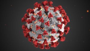 An illustration of the SARS-CoV-2 virus, the novel coronavirus that causes COVID-19. Image by CDC / Alissa Eckert, MS; Dan Higgins, MAMS