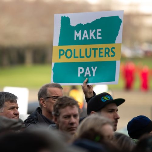 People gather on the steps of the Oregon Capitol in Salem for a rally for climate action on Feb. 11, 2020. CREDIT: Kaylee Domzalski/OPB