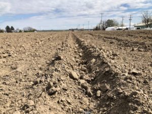 Freshly planted furrows span out across the Columbia Basin as farmers get ready for the coming season as worries of COVID-19 spread in central and eastern Washington.