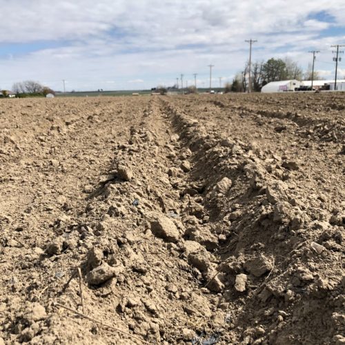 Freshly planted furrows span out across the Columbia Basin as farmers get ready for the coming season as worries of COVID-19 spread in central and eastern Washington.