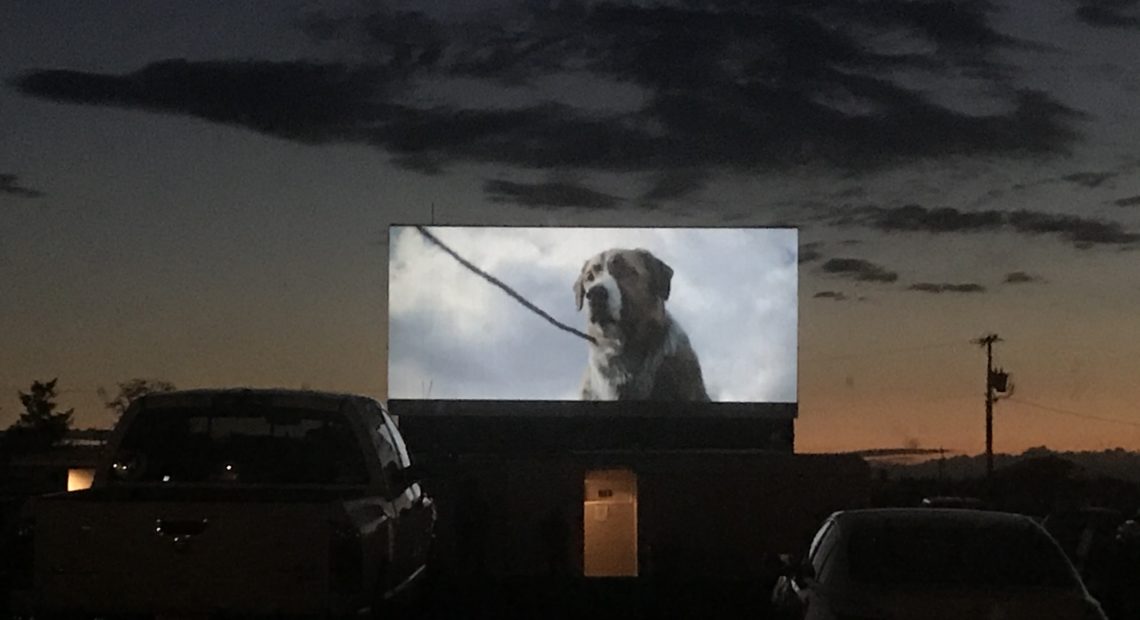 Sunset at the Milton-Freewater Drive-IN brought the start of "Call of the Wild" as people stayed plenty socially distant in their surrounding cars. CREDIT: Courtney Flatt/NWPB