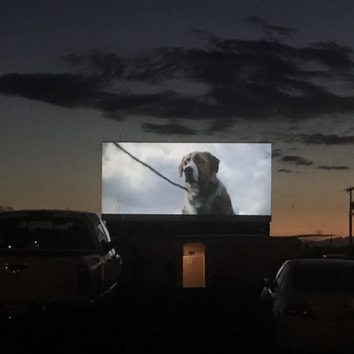 Sunset at the Milton-Freewater Drive-IN brought the start of "Call of the Wild" as people stayed plenty socially distant in their surrounding cars. CREDIT: Courtney Flatt/NWPB