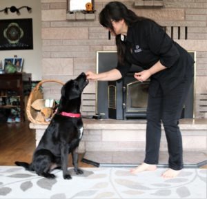 Sueann training her black-lab mixed puppy Duke